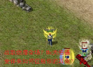 ս��ȼ��ȫ����Mc����ɧ��������������Ķ��䣿