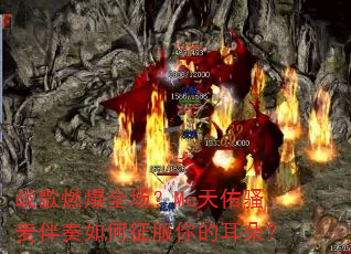 ս��ȼ��ȫ����Mc����ɧ��������������Ķ��䣿