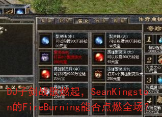 DJ�ӽ�ս��ȼ��SeanKingston��FireBurning�ܷ��ȼȫ����