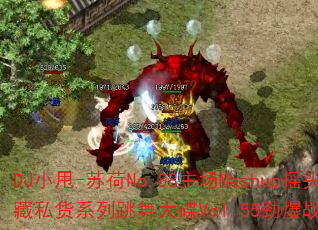 DJС˦-�պ�No.88����Mashupҡͷ���˽��ϵ��������Vol.55����ս��赥��
