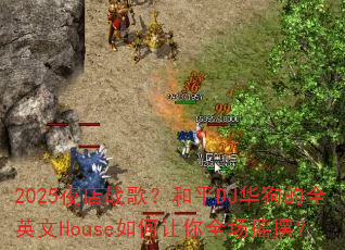 2025ҹ��ս�裿��ƽDJ������ȫӢ��House�������ȫ��ҡ�ڣ�