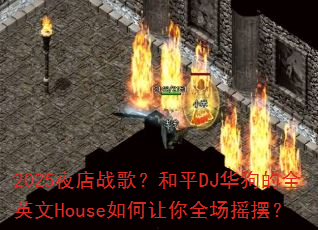 2025ҹ��ս�裿��ƽDJ������ȫӢ��House�������ȫ��ҡ�ڣ�