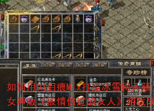 �����Dj���Mix�����ѩ������Ů���桶�����˹���Ů�ˡ���Ϸս�裿