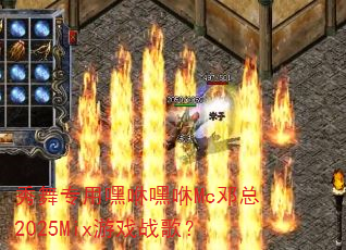 ����ר�ú��ݺ���Mc����2025Mix��Ϸս�裿