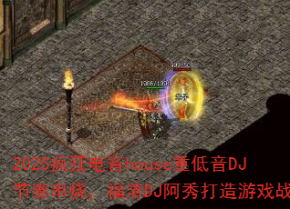 2025������house�ص���DJ���മ�գ�����DJ���������Ϸս�裿