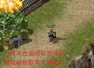 11�±�ɫ�ư�˽��������Ϸս��赥����أ�