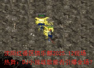 �����췬�����ֲ�2025.12�ֳ����裺DJС��ս���ܷ�����ȫ����
