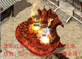 �����췬�����ֲ�2025.12�ֳ����裺DJС��ս���ܷ�����ȫ����