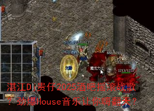 տ��Dj����2025�ư�ҡ��ս�裿����House���������˷��죿