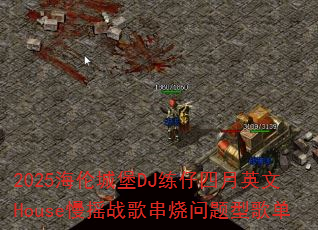 2025���׳Ǳ�DJ��������Ӣ��House��ҡս�贮�������͸赥