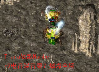 T-araս��Number9���������棿ȼ��ȫ��