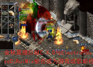 �����𺳾���E.X.O��ElectroHouseDjRuiMix�ܷ��Ϊ��Ϸս���¾��䣿