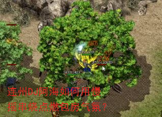 ����DJ�����������ҡ���յ�ȼ�������գ�