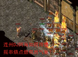����DJ�����������ҡ���յ�ȼ�������գ�