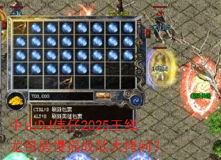 ��ɽDJΰ��2025������������ҡս����ʣ�