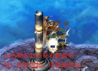 DJ־��2025�껨ʯ�������գ�ս��ȼ�������ս��