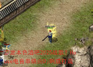 �޶���ɫ�ư�2025ս�裿House����������Dj���ɴ���