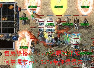 �����Ȳ���House˵������������ս��ࣿDJTe����������