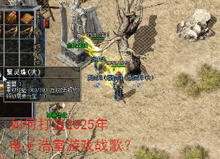 ��δ���2025����Ӻ�����Ϸս�裿