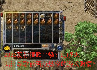 2025������贮�գ�Dj����տ��ս���ܷ��ȼ�����Ϸ���飿