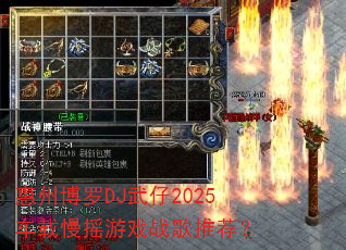 ���ݲ���DJ����2025������ҡ��Ϸս���Ƽ���