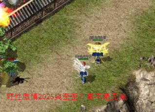 Ұ�Լ���2025ˬ���᣿�粻������