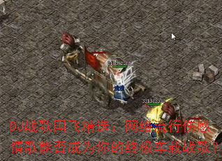 DJս����ɾ�ѡ�����������˸�����ܷ��Ϊ����ռ�����ս�裿