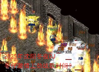 2025��������ҹDJ���м����Ͼ�ս��ʱ�䣿