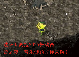 ����DJ����2025�趯�漣֮ҹ����������������⣿
