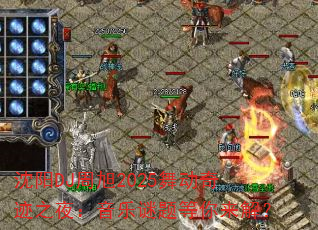 ����DJ����2025�趯�漣֮ҹ����������������⣿
