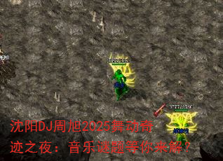 ����DJ����2025�趯�漣֮ҹ����������������⣿