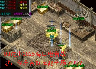 DJ����2025���ڵ���ս�裺��׼�����˷�ȫ������