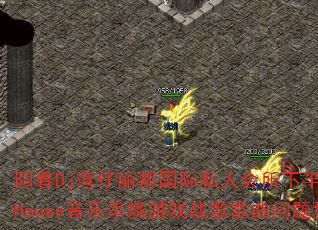 ����Dj������������˽�˻����°볡ȫӢ��House���ִ�����Ϸս����������ʹ���