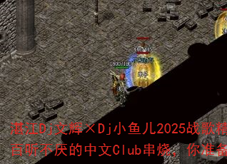 տ��Dj�Ļԡ�DjС���2025ս�辫ѡ���������������Club���գ���׼��������