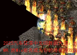 2025������Ư����CD�������������DjMR.��Mix�ܷ��Ϊ����ռ���Ϸս�裿