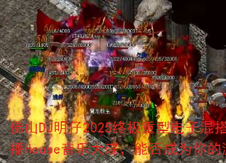 ��ɽDJ����2025�ռ����͵��ӻ��ŷ���Ȳ�House���ִ�����ܷ��Ϊ�����Ϸս��