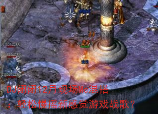 DJ�ձ�12���ֳ�Mc��������ҡ�¸о���Ϸս�裿