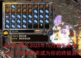 ����DJ����2025��10������ȫӢ�ĵ��ӻ����ܷ��Ϊ����ռ���Ϸս�裿
