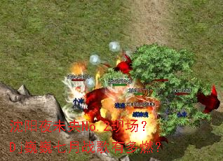 ����ҹδ��No.2�ֳ���DjΡΡ����ս���ж�ȼ��