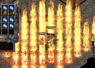 ����ҹδ��No.2�ֳ���DjΡΡ����ս���ж�ȼ��