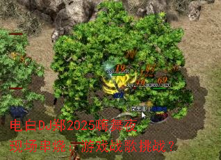 ���DJ֣2025����ҹ�ֳ����գ���Ϸս����ս��