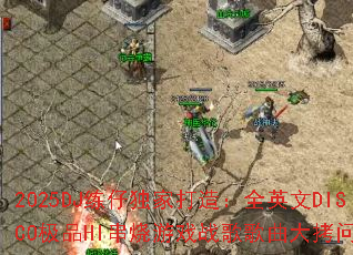 2025DJ���ж��Ҵ��죺ȫӢ��DISCO��ƷHI������Ϸս��������ʣ�