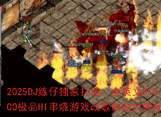 2025DJ���ж��Ҵ��죺ȫӢ��DISCO��ƷHI������Ϸս��������ʣ�