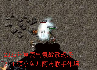 2025���氮����ս���ֳ�����˶С�����ҩ����ը��