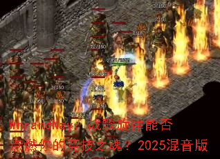WhrandNay��ս�������ܷ��ȼ��ľ���֮�ꣿ2025������