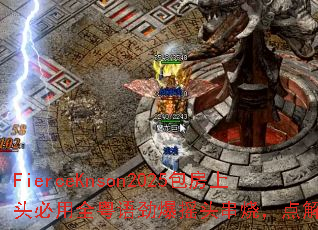 FierceKnson2025������ͷ����ȫ���ﾢ��ҡͷ���գ������