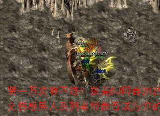 ��һ��ι���������ݸDJ����2025ȫ�����˸�����ϵ�д����ܷ��Ϊ�����Ϸս�裿