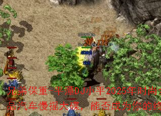 �ֵܱ���-ƽ̶DJСƽ2025��ʱ��ȫ���ľ�Ʒ������ҡ������ܷ��Ϊ����ռ���Ϸս�裿