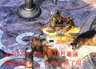 ����DJѼ��2025��10����ǿ����ս��Mix����׼��������