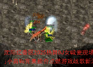 �����췬��2025����DJŮ�����ֳ���DjС��Mc�����ܷ��ȼ��Ϸս���³�����